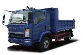 Light Dump Truck 